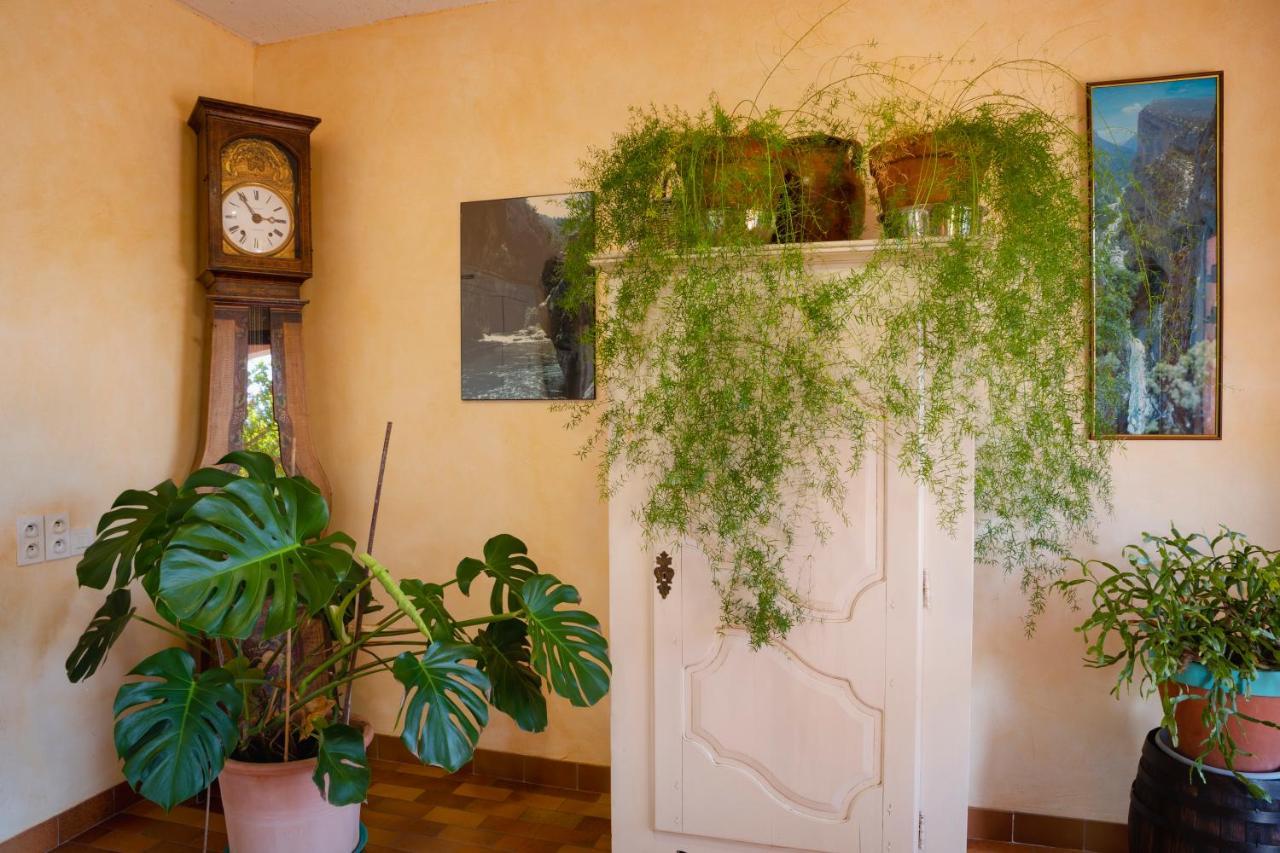 Hotel Sainte Anne "Le Verdon" Les Salles-sur-Verdon Zewnętrze zdjęcie