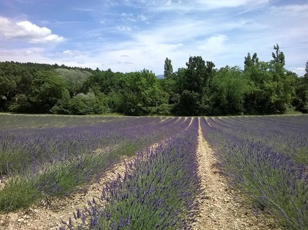 Hotel Sainte Anne "Le Verdon" Les Salles-sur-Verdon Zewnętrze zdjęcie